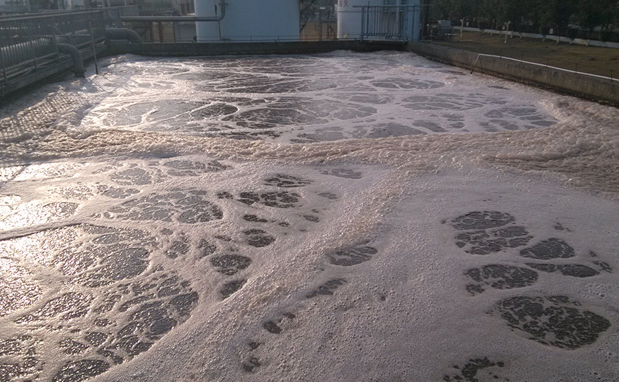 屠宰廠廢水處理中的污泥脫水技術要點