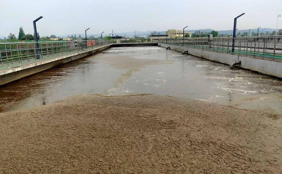 污泥脫水領(lǐng)域與浙江正達(dá)環(huán)保的探索之旅(圖1) undefined