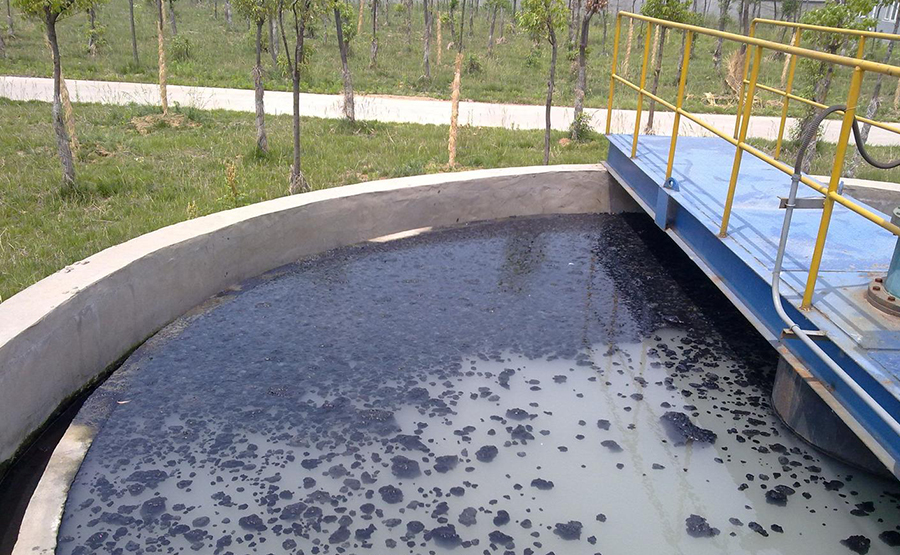 屠宰廢水固液分離機(jī):環(huán)保先鋒在肉類加工中的應(yīng)用(圖1) undefined