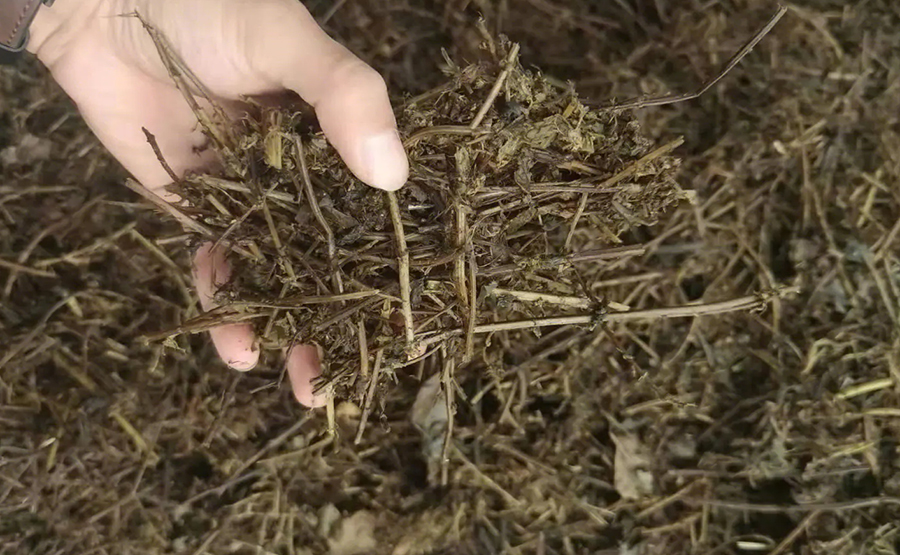 探秘正達環(huán)保中藥渣脫水機:如何讓中藥渣華麗轉(zhuǎn)身(圖2) undefined